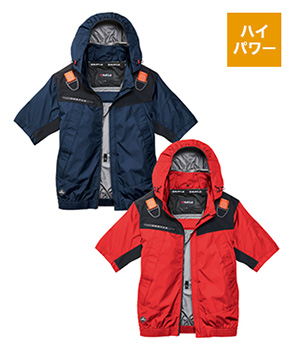 脇ファンタイプ